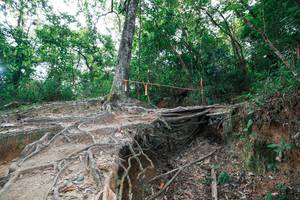 BIB: 
                            <button type="button" onclick="openModal(27722590)" class="btn btn-primary btn-sm float-right btn-popup" data-toggle="modal" data-target=".modal-high-quality">
                        <i class="fas fa-shopping-cart"></i> Add to Cart
                    </button>
                                            <button type="button" onclick="isThisMe(27722590, true)" class="btn btn-success btn-sm float-right btn-popup btn-isme hidden" data-toggle="tooltip" data-placement="bottom" title="นี่คือรูปของคุณใช่ไหม คลิกที่นี่เพื่อเอาเข้าอัลบั้ม">
                        <i class="fas fa-plus"></i> Add to album
                    </button>
                    <button type="button" onclick="isThisMe(27722590, false)" class="btn btn-warning btn-sm float-right btn-popup btn-isnotme hidden">
                        <i class="fas fa-ban"></i> Remove from album
                    </button>